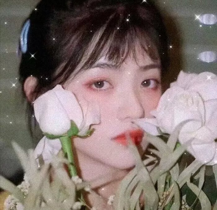 美味情歌